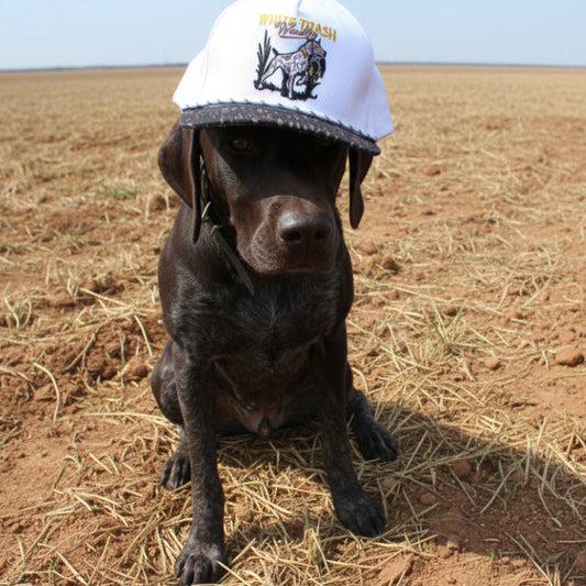 Dog White and Camo Snapback